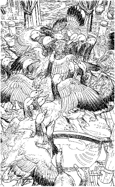 Иллюстрация к книге — В ночном саду [i_012.jpg]