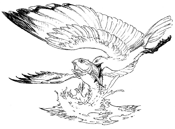 Иллюстрация к книге — В ночном саду [i_020.jpg]