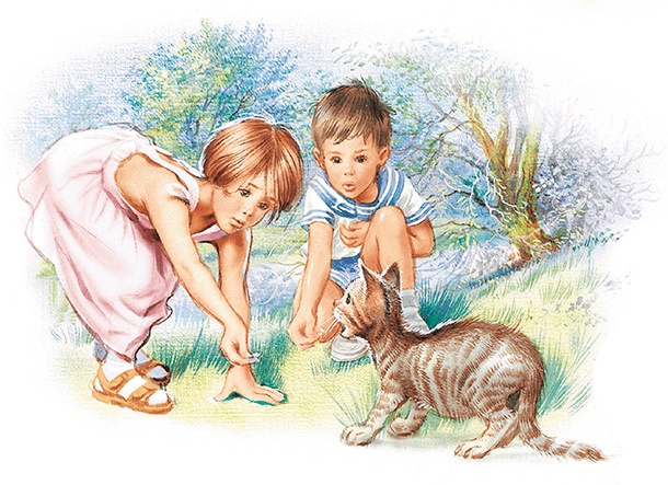 Иллюстрация к книге — Маруся спешит на помощь. Кошечка. Воробей (сборник) [i_005.jpg]