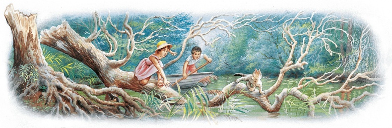 Иллюстрация к книге — Маруся спешит на помощь. Кошечка. Воробей (сборник) [i_023.jpg]