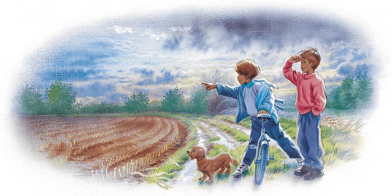 Иллюстрация к книге — Маруся спешит на помощь. Кошечка. Воробей (сборник) [i_033.jpg]