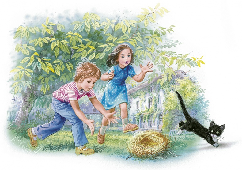 Иллюстрация к книге — Маруся спешит на помощь. Кошечка. Воробей (сборник) [i_037.jpg]