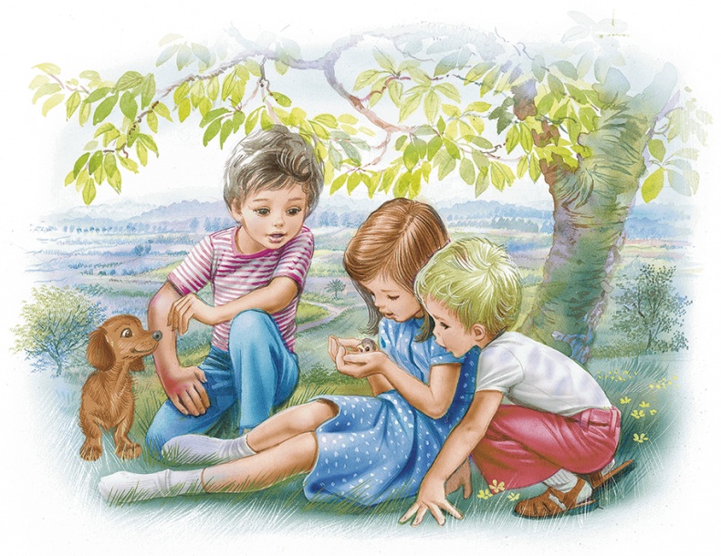 Иллюстрация к книге — Маруся спешит на помощь. Кошечка. Воробей (сборник) [i_038.jpg]