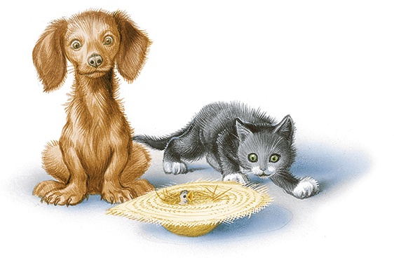 Иллюстрация к книге — Маруся спешит на помощь. Кошечка. Воробей (сборник) [i_043.jpg]