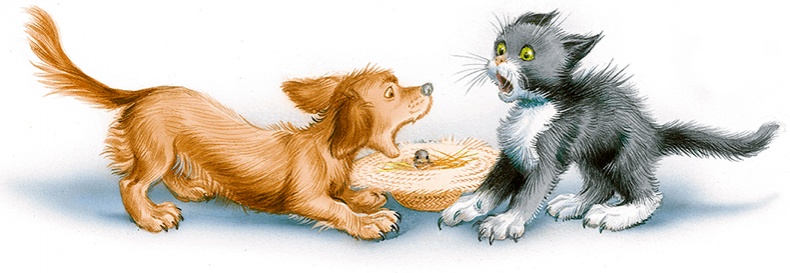 Иллюстрация к книге — Маруся спешит на помощь. Кошечка. Воробей (сборник) [i_044.jpg]