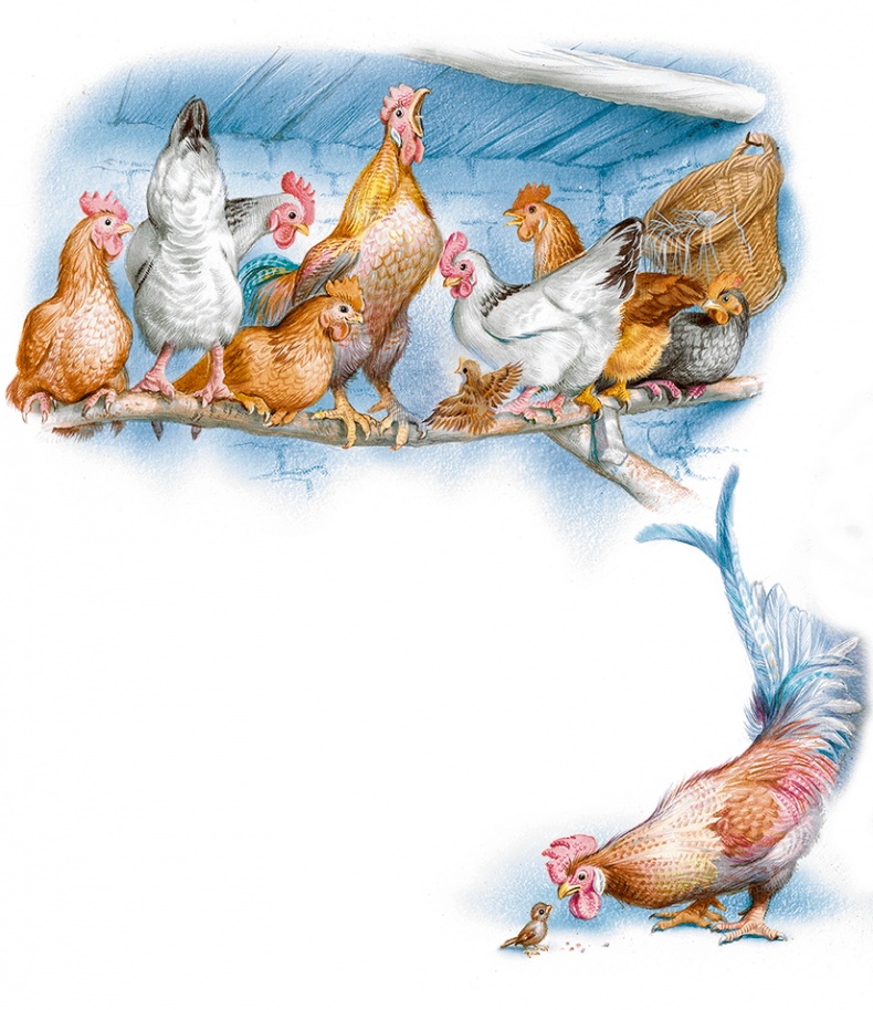 Иллюстрация к книге — Маруся спешит на помощь. Кошечка. Воробей (сборник) [i_047.jpg]