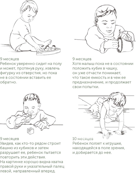 Иллюстрация к книге — Игра в раннем детстве: От рождения до 6 лет [i_003.jpg]