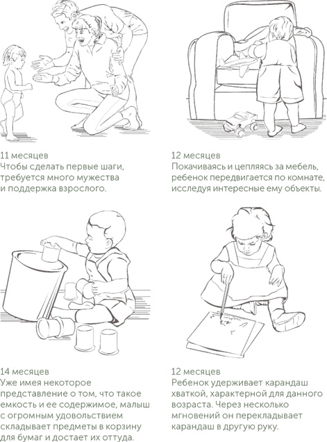 Иллюстрация к книге — Игра в раннем детстве: От рождения до 6 лет [i_005.jpg]