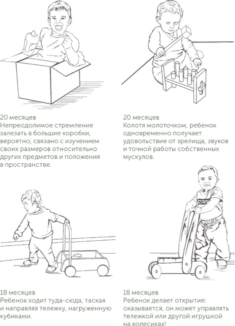 Иллюстрация к книге — Игра в раннем детстве: От рождения до 6 лет [i_009.jpg]