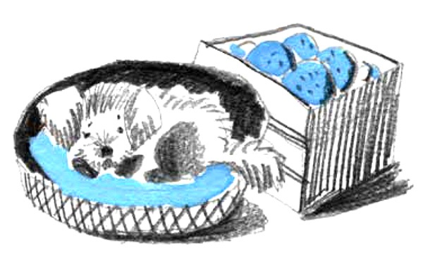 Иллюстрация к книге — Рассказы про Франца и собаку [i_001.jpg]