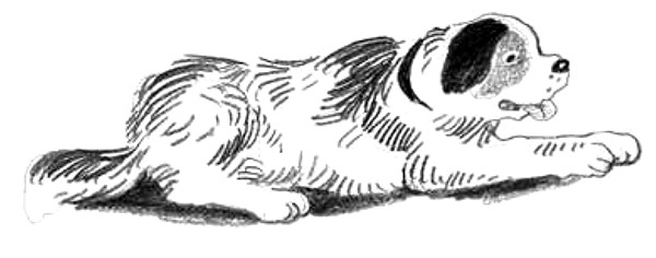 Иллюстрация к книге — Рассказы про Франца и собаку [i_004.jpg]