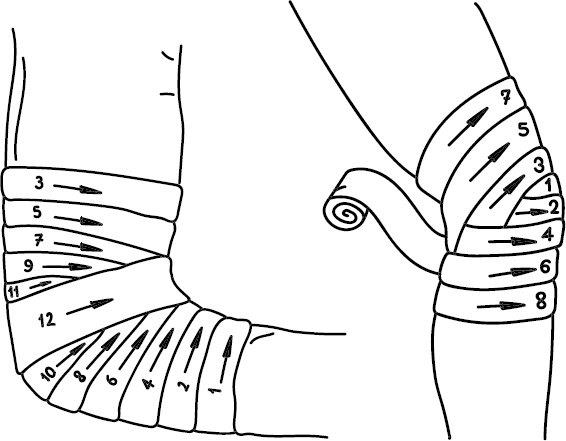 Иллюстрация к книге — Скорая помощь на дому [_11.jpg]