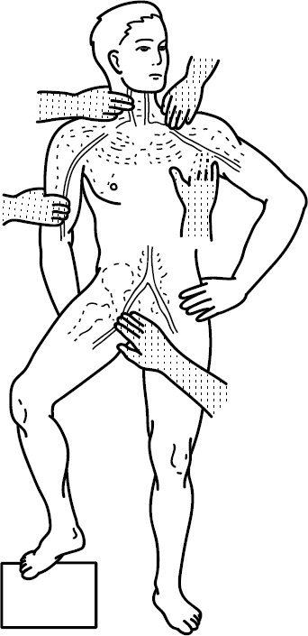 Иллюстрация к книге — Скорая помощь на дому [_2.jpg]