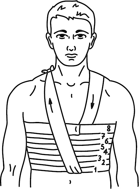 Иллюстрация к книге — Скорая помощь на дому [_9.jpg]