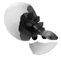 Иллюстрация к книге — Мама Мальчишек. Уроки выживания среди мужчин [i_001.jpg]