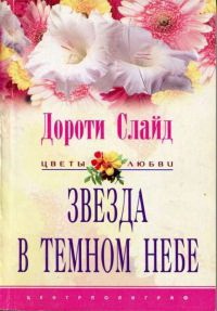 Книга Звезда в темном небе
