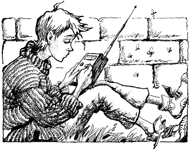 Иллюстрация к книге — Огонь и заклятие, или Восемь дней с Люком [i_006.jpg]