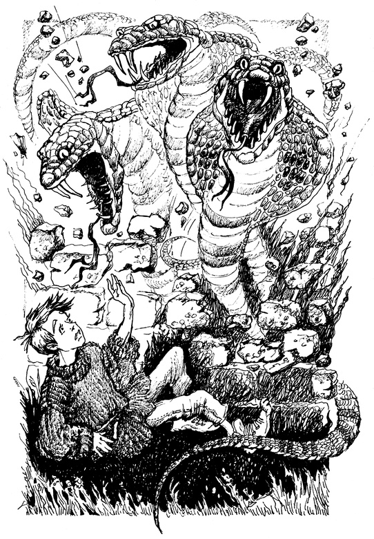 Иллюстрация к книге — Огонь и заклятие, или Восемь дней с Люком [i_010.jpg]