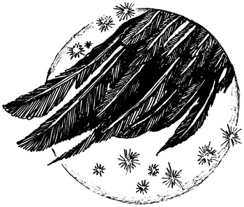 Иллюстрация к книге — Огонь и заклятие, или Восемь дней с Люком [i_032.jpg]