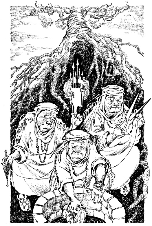 Иллюстрация к книге — Огонь и заклятие, или Восемь дней с Люком [i_037.jpg]