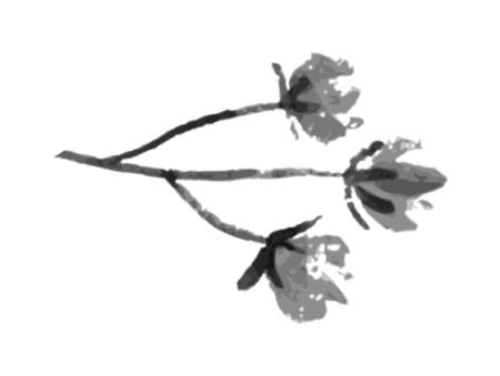 Иллюстрация к книге — Время желаний [i_012.jpg]