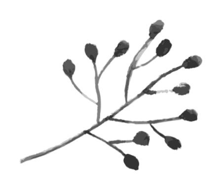 Иллюстрация к книге — Время желаний [i_018.jpg]