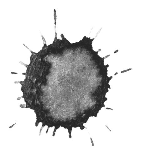 Иллюстрация к книге — Время желаний [i_033.jpg]