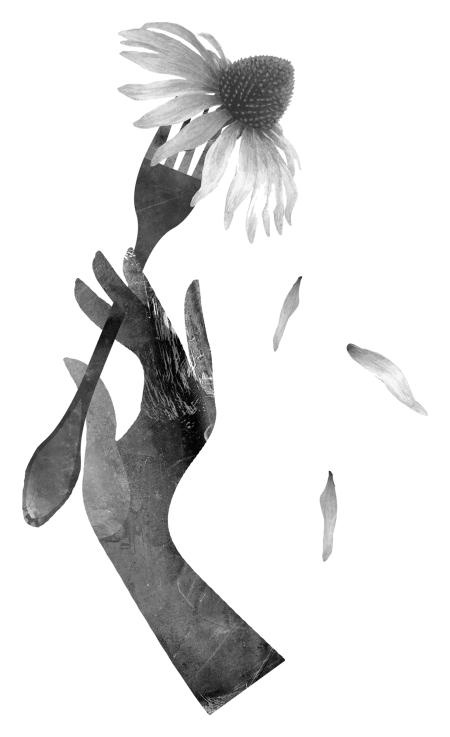 Иллюстрация к книге — Время желаний [i_043.jpg]