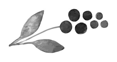 Иллюстрация к книге — Время желаний [i_048.jpg]