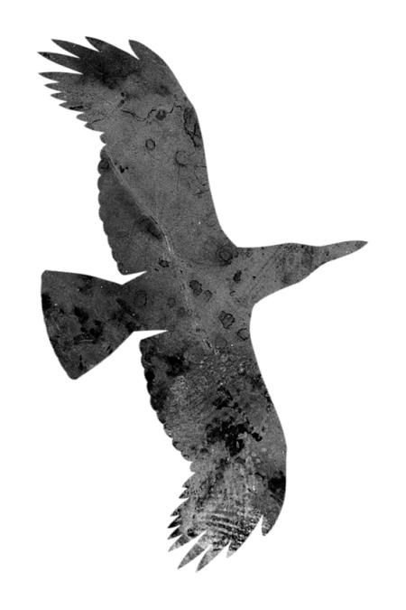 Иллюстрация к книге — Время желаний [i_060.jpg]