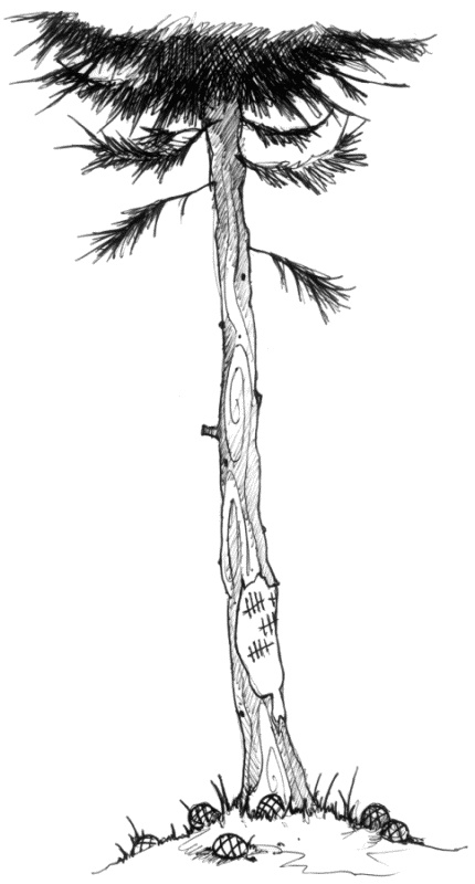 Иллюстрация к книге — Мальчик по имени Рождество [number8a.jpg]