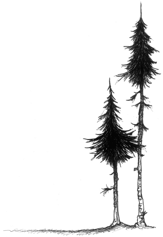 Иллюстрация к книге — Мальчик по имени Рождество [tree_b.jpg]