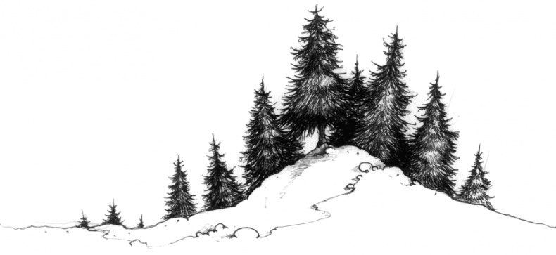 Иллюстрация к книге — Мальчик по имени Рождество [tree_f.jpg]