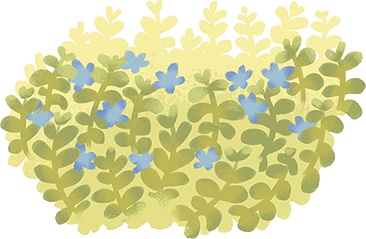 Иллюстрация к книге — Принцесса с болота, или 20 прикольных сказок [i_017.jpg]