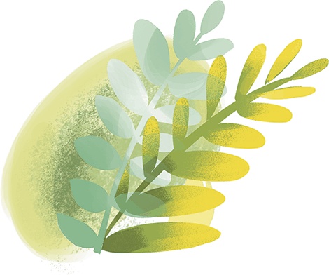 Иллюстрация к книге — Принцесса с болота, или 20 прикольных сказок [i_031.jpg]