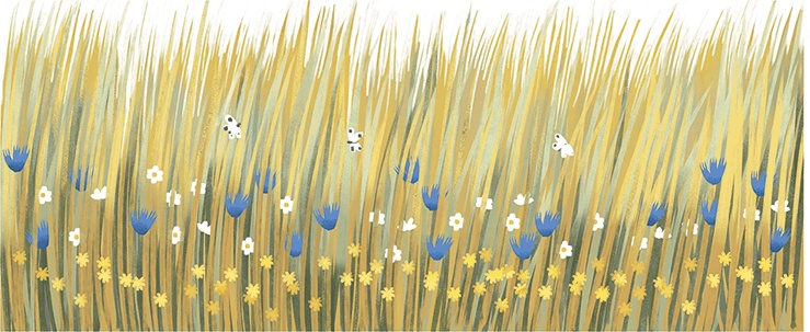 Иллюстрация к книге — Принцесса с болота, или 20 прикольных сказок [i_063.jpg]