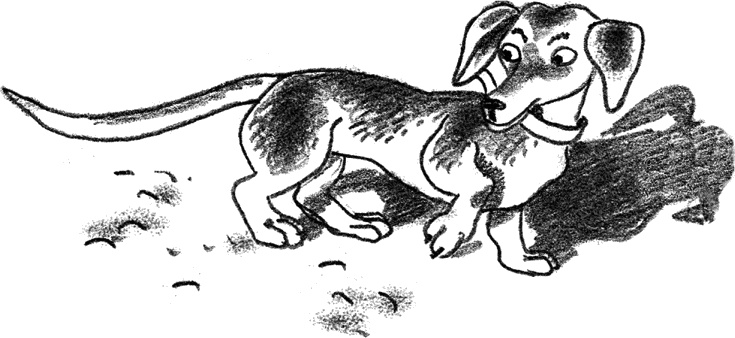 Иллюстрация к книге — Рассказы Люси Синицыной (сборник) [_003_3.jpg]