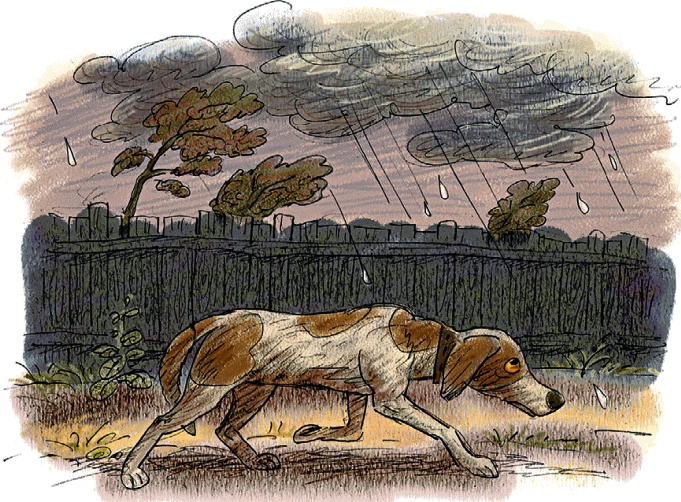 Иллюстрация к книге — Синие листья. Сказки и рассказы [_53.jpg]