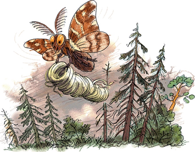 Иллюстрация к книге — Синие листья. Сказки и рассказы [_71.jpg]