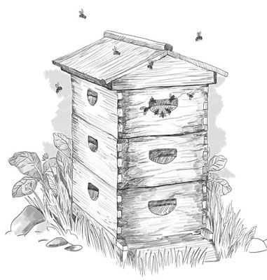 Иллюстрация к книге — Шифры и квесты: таинственные истории в логических загадках [i_002.jpg]