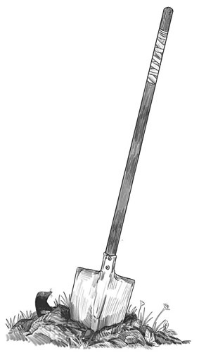 Иллюстрация к книге — Шифры и квесты: таинственные истории в логических загадках [i_033.jpg]