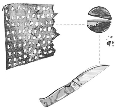 Иллюстрация к книге — Шифры и квесты: таинственные истории в логических загадках [i_048.jpg]