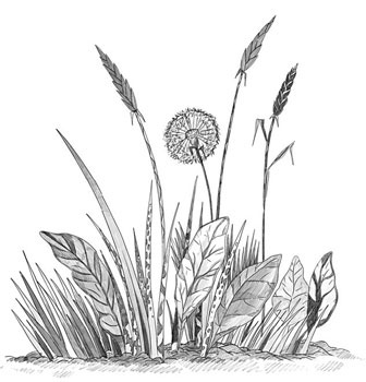 Иллюстрация к книге — Шифры и квесты: таинственные истории в логических загадках [i_069.jpg]