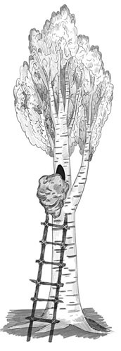 Иллюстрация к книге — Шифры и квесты: таинственные истории в логических загадках [i_076.jpg]