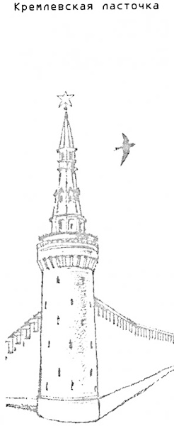 Иллюстрация к книге — Мадам Гали: Свободный полет [i_001.jpg]