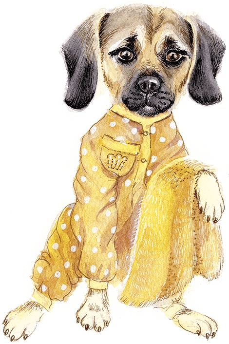 Иллюстрация к книге — Амулет Добра [i_009.jpg]