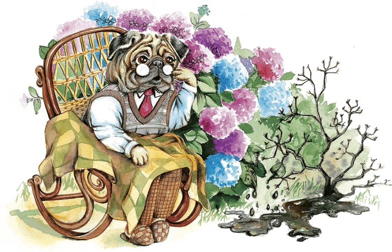 Иллюстрация к книге — Амулет Добра [i_016.jpg]