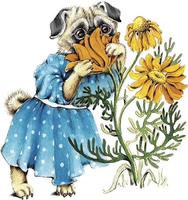 Иллюстрация к книге — Амулет Добра [i_034.jpg]