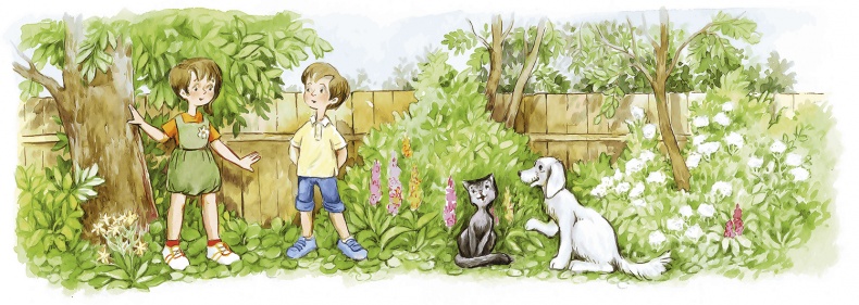 Иллюстрация к книге — Людмилка и Тим в сказочном саду [i_006.jpg]