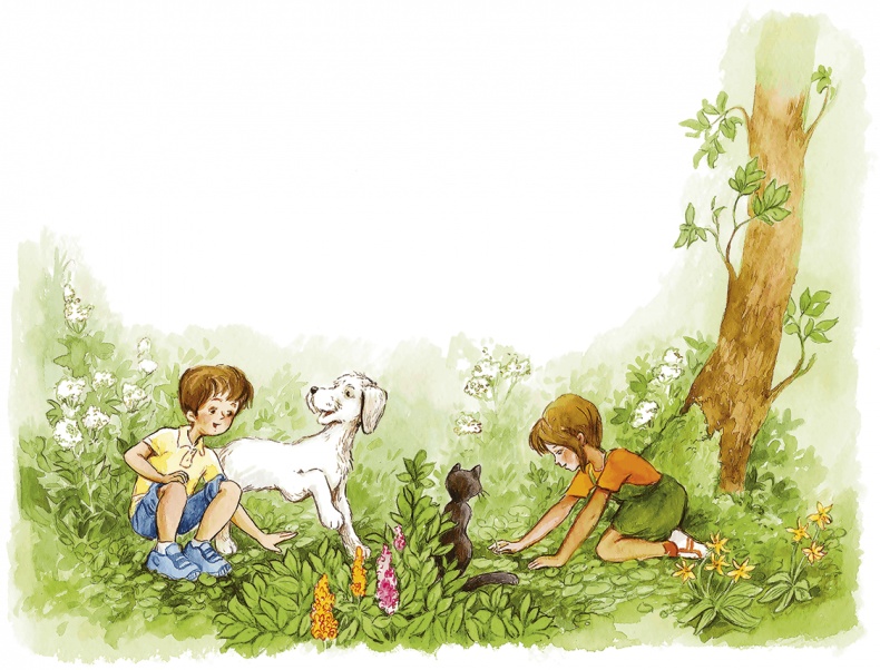 Иллюстрация к книге — Людмилка и Тим в сказочном саду [i_009.jpg]